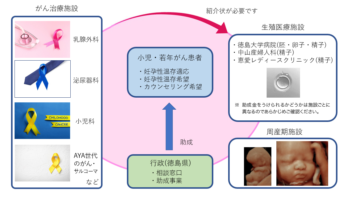 徳島県がん生殖連携ネットワーク